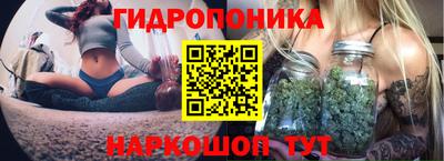 ПСИЛОЦИБИНОВЫЕ ГРИБЫ Кинель
