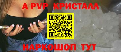 2c-b Кингисепп